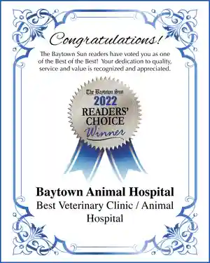 Baytown Animal Hospital 2022 Readers Choice Award