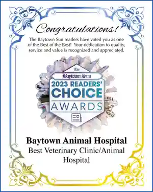 Baytown Animal Hospital 2023 Readers Choice Award