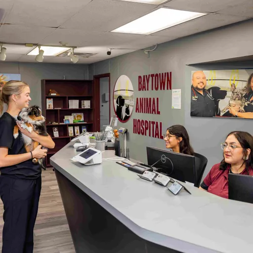 Our Front Desk